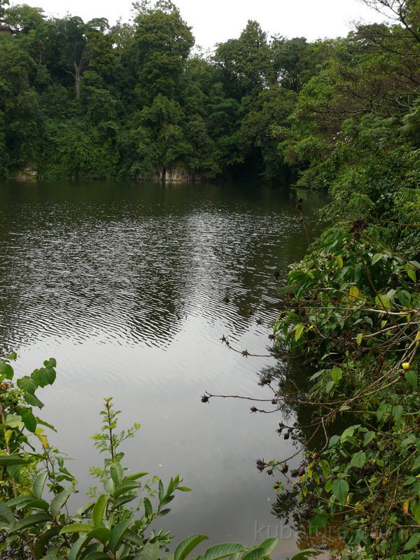 249 247 P1130130.jpg
